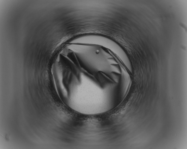 X0000091210256200708301435