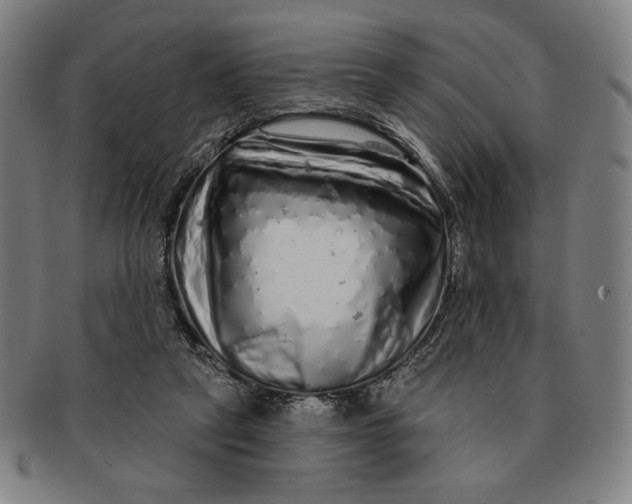 X0000091210257200708301435