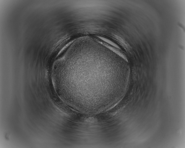 X0000091210258200708301435