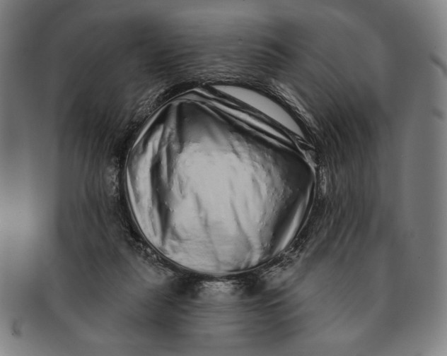 X0000091210259200708301435