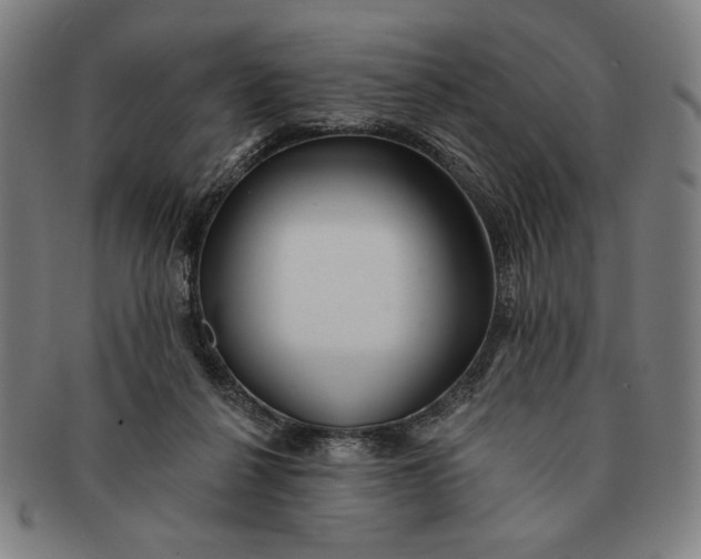 X0000091210264200708301435