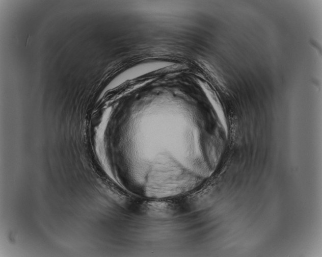 X0000091210265200708301435