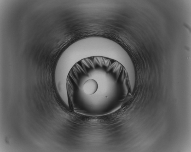 X0000091210268200708301435