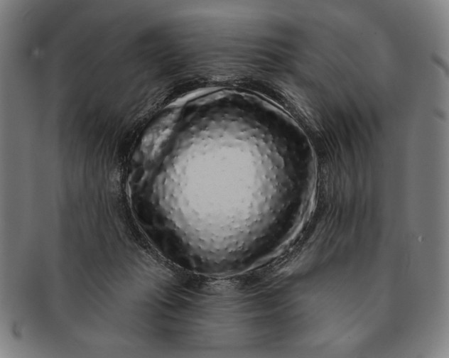 X0000091210269200708301435