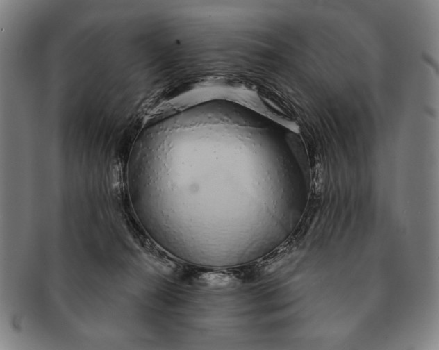 X0000091210272200708301435