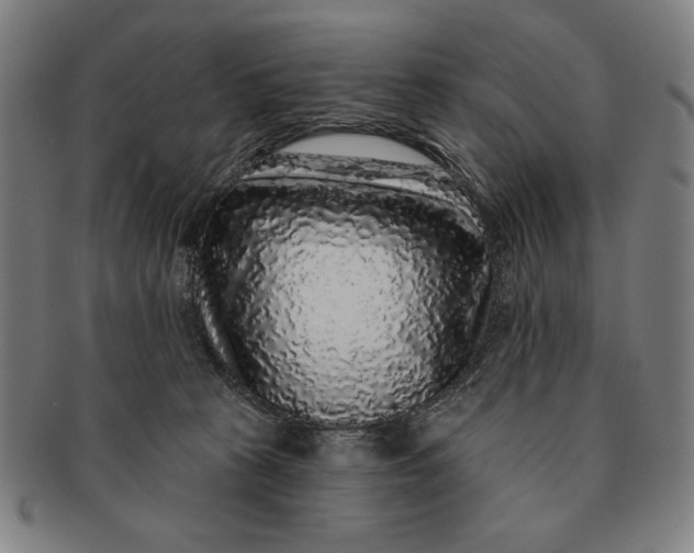 X0000091210273200708301435