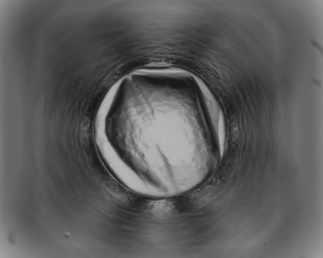 X0000091210275200708301435