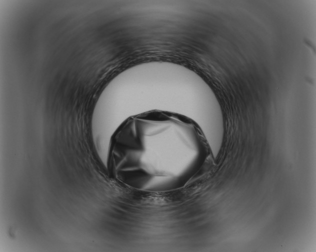 X0000091210276200708301435