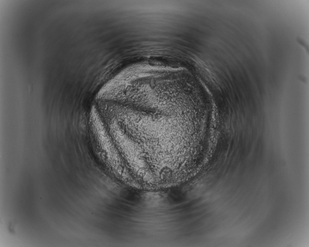 X0000091210277200708301435