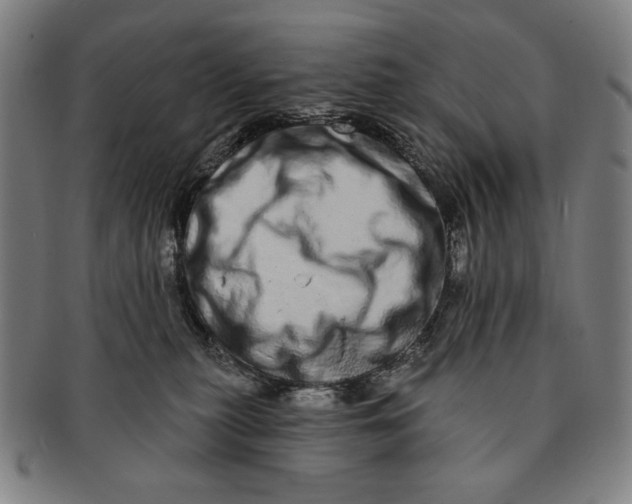 X0000091210279200708301435