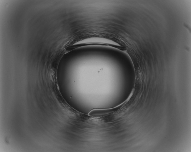 X0000091210280200708301435