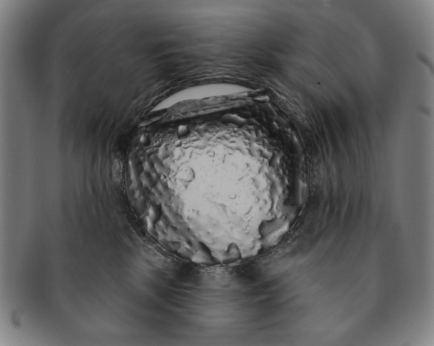 X0000091210281200708301435