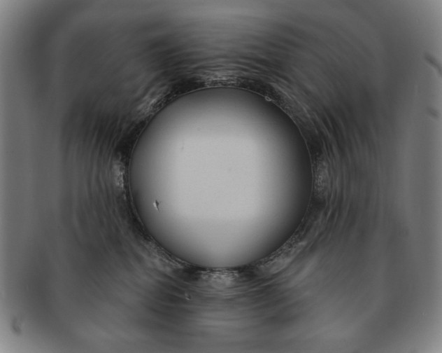 X0000091210282200708301435