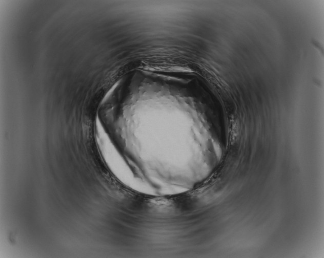 X0000091210283200708301435