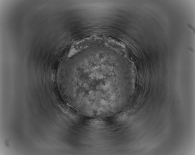 X0000091210284200708301435