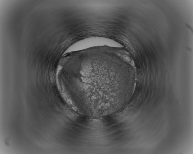 X0000091210285200708301435