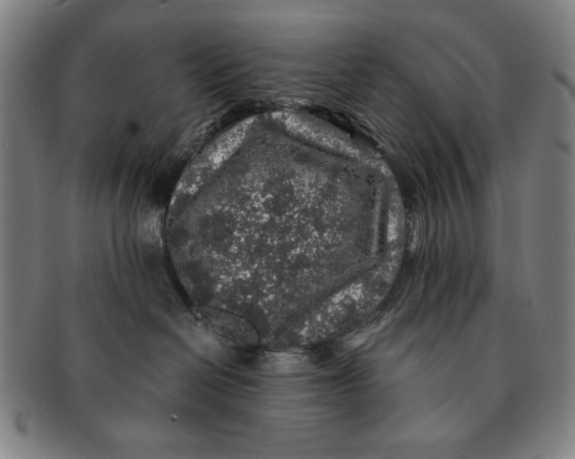 X0000091210286200708301435