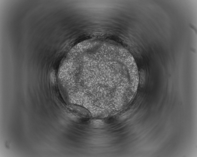 X0000091210287200708301435