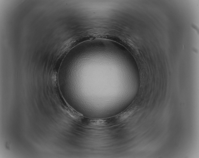 X0000091210288200708301435