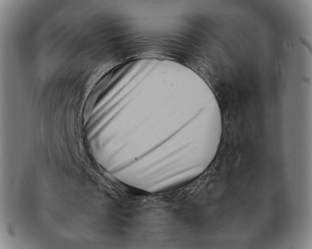 X0000091210289200708301435