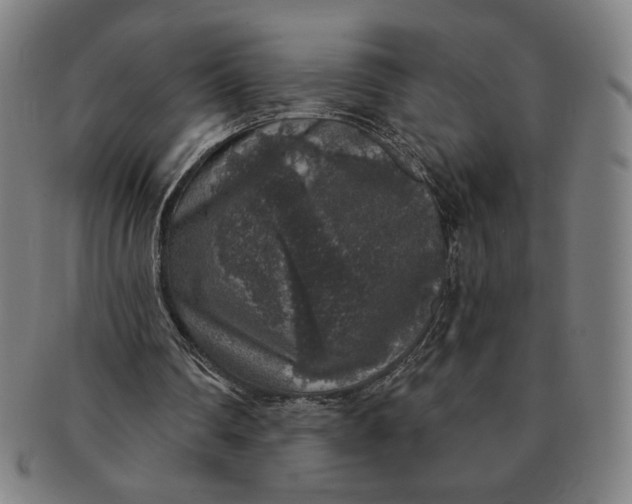 X0000091210290200708301435