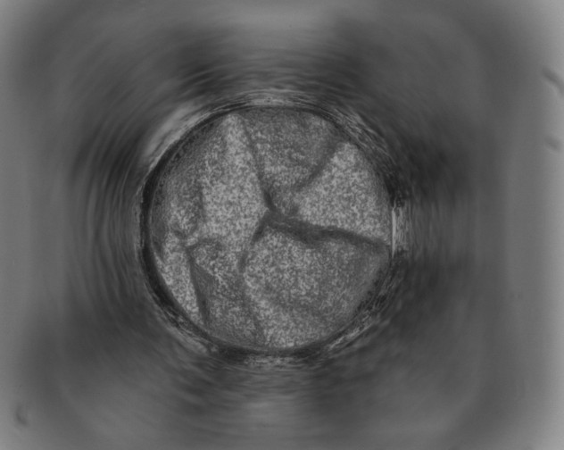 X0000091210291200708301434