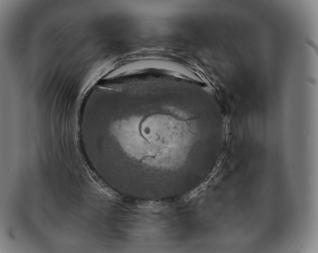 X0000091210293200708301434