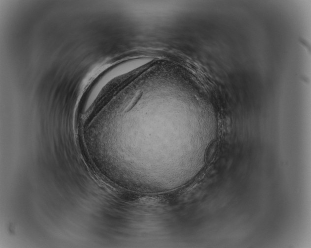 X0000091210294200708301434