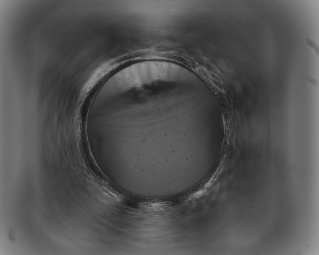 X0000091210295200708301434