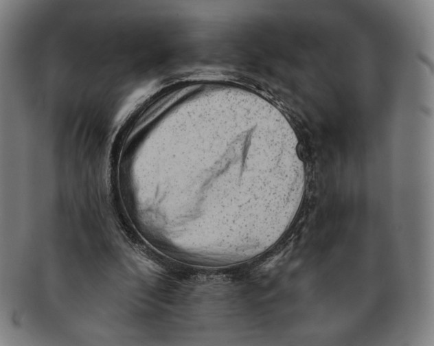 X0000091210296200708301434