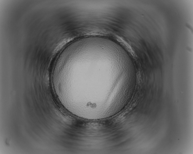 X0000091210298200708301434