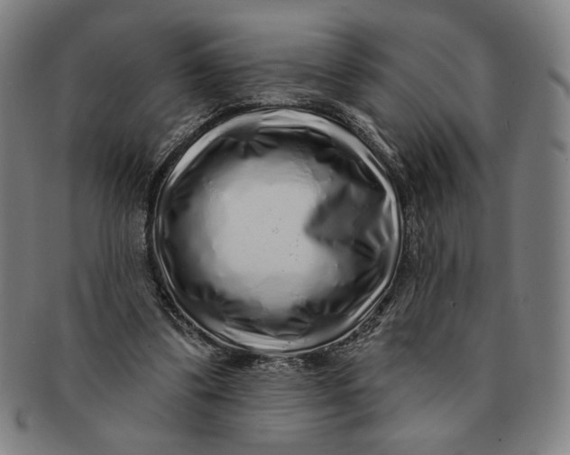 X0000091210299200708301434