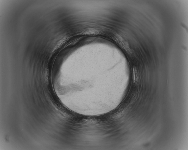 X0000091210300200708301434