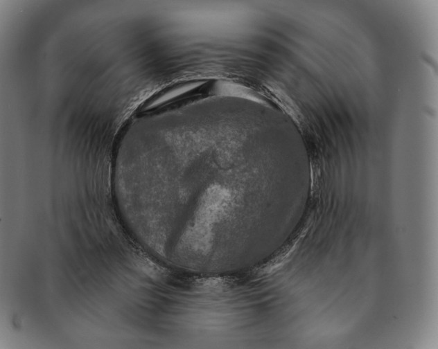 X0000091210301200708301434