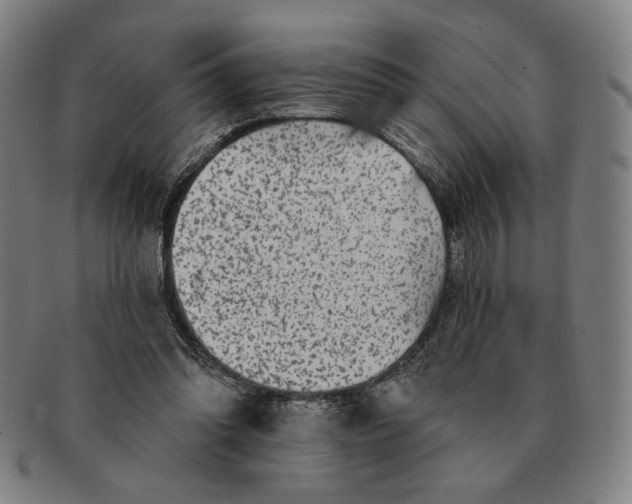 X0000091210302200708301434