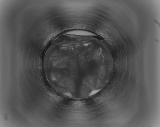 X0000091210303200708301434