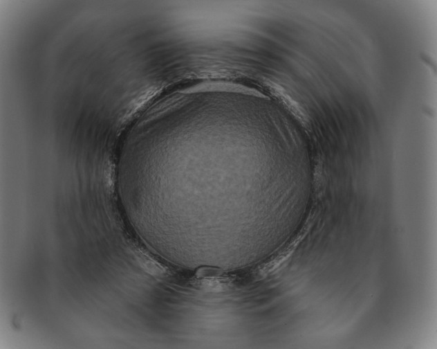 X0000091210305200708301434