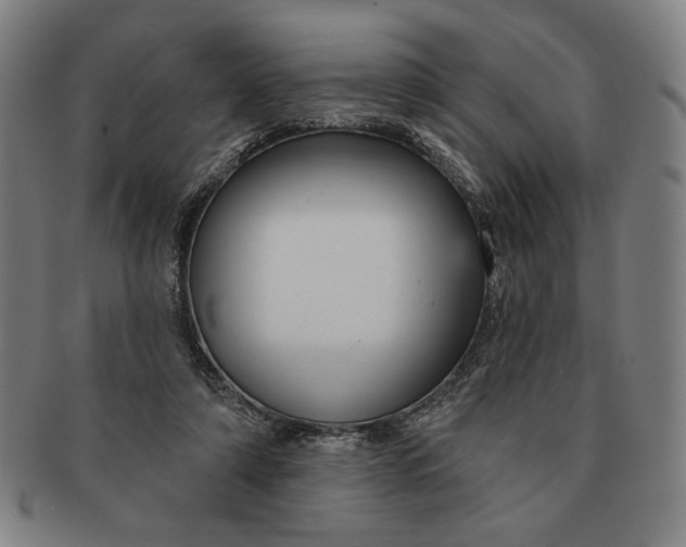 X0000091210306200708301434