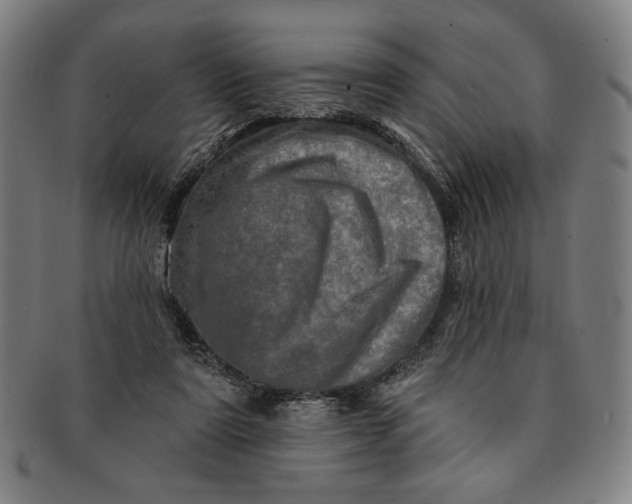 X0000091210307200708301434