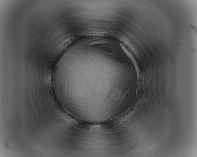 X0000091210309200708301434