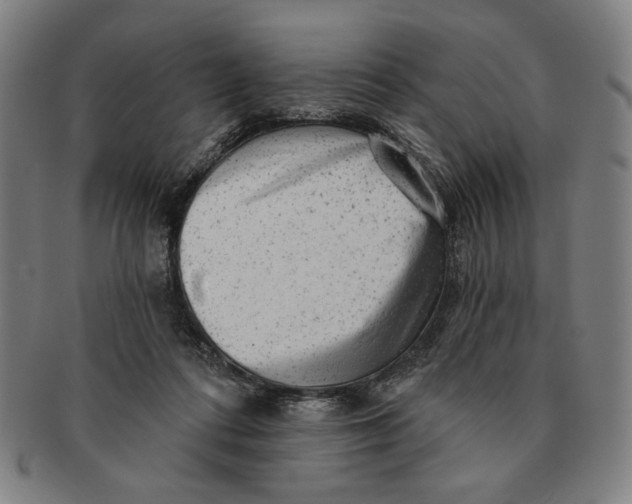 X0000091210312200708301434