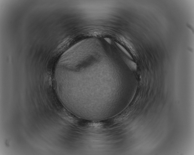 X0000091210313200708301434