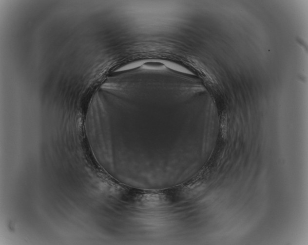 X0000091210314200708301434