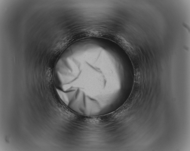 X0000091210318200708301434