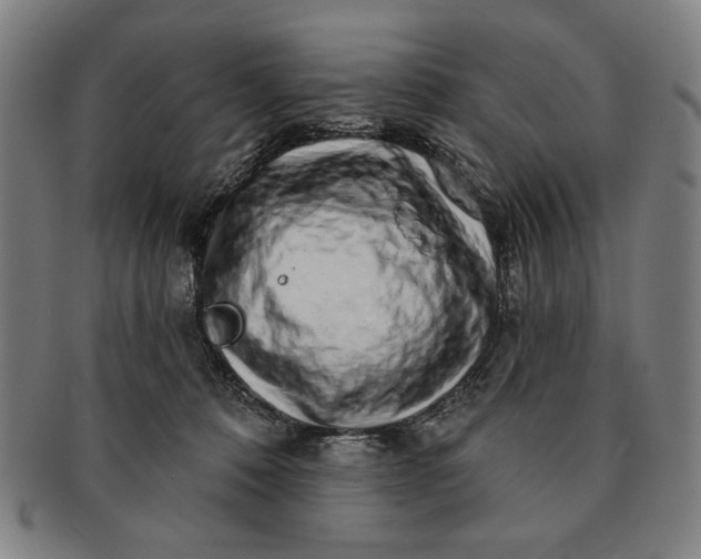 X0000091210320200708301434