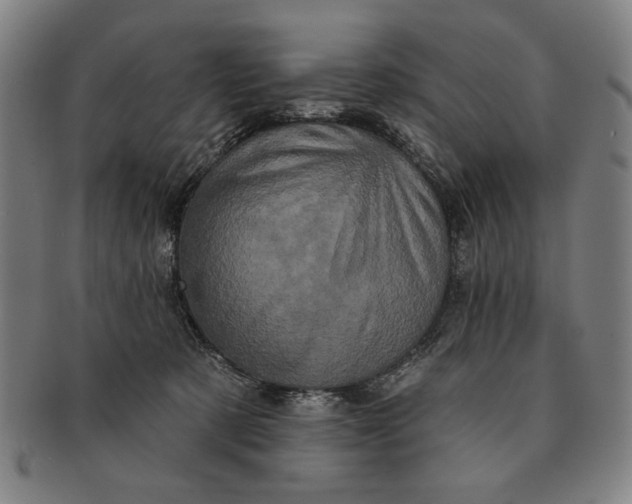 X0000091210321200708301434