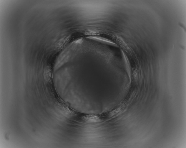 X0000091210322200708301434