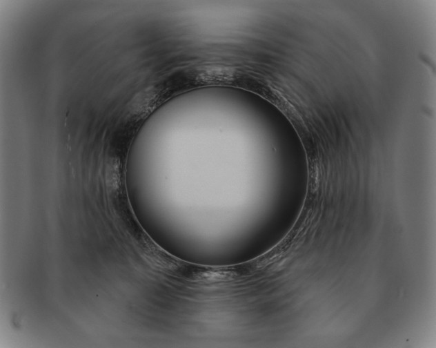 X0000091210323200708301434