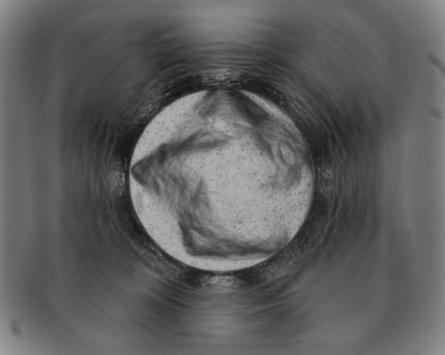 X0000091210324200708301434