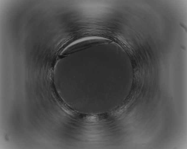 X0000091210325200708301434